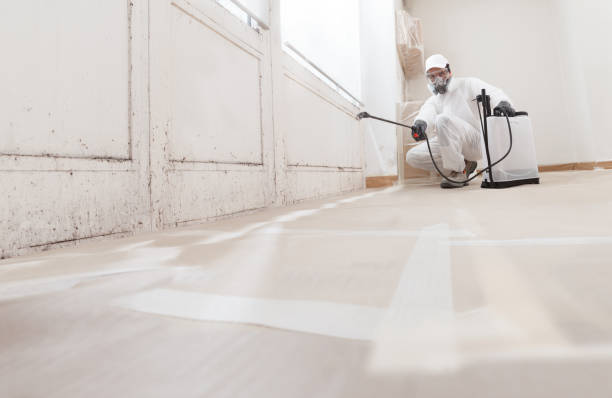 24/7 Emergency Basement Mold Removal experts in Norwood, NJ